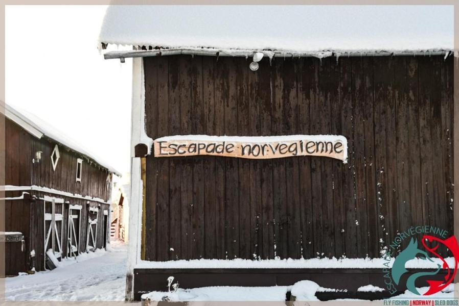 Escapade Norvegienne Apartamento Tolga Exterior foto