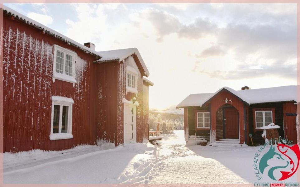 Escapade Norvegienne Apartamento Tolga Exterior foto