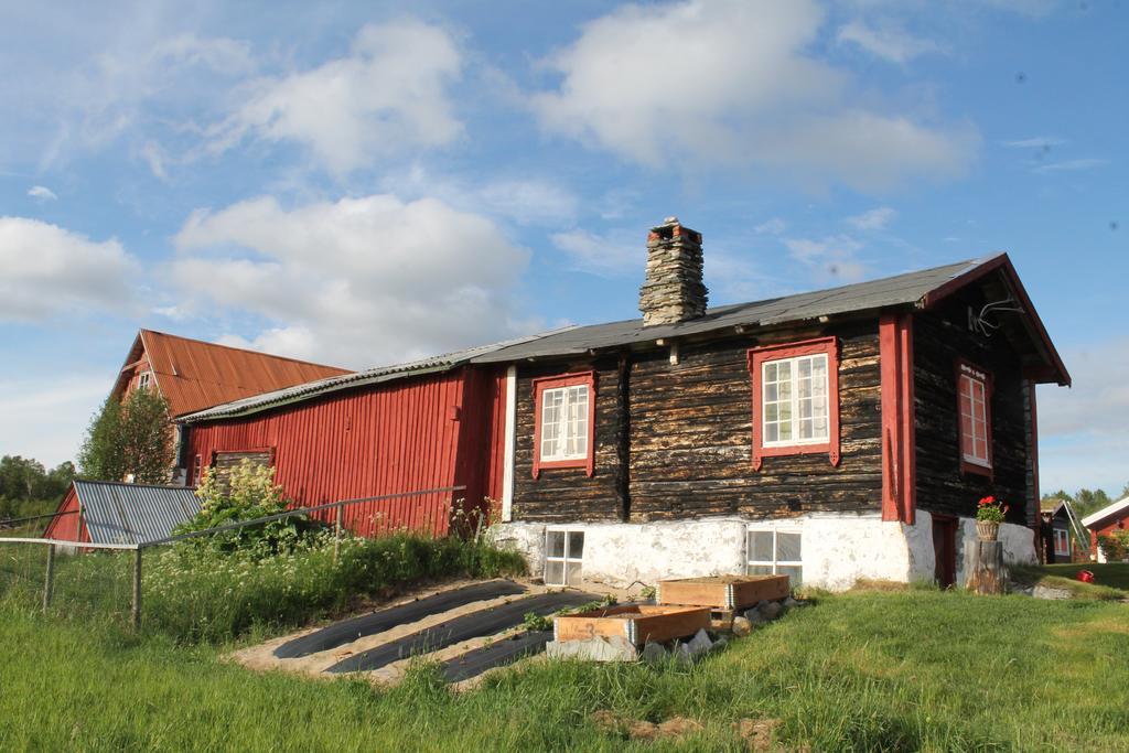 Escapade Norvegienne Apartamento Tolga Exterior foto